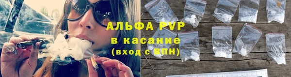 спиды Новодвинск