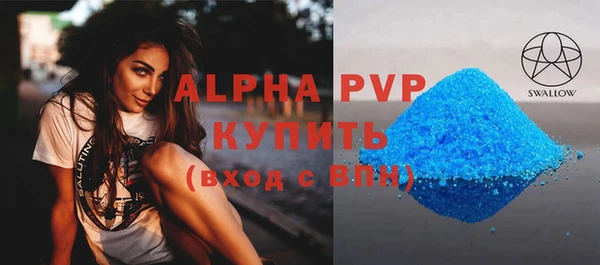спиды Новодвинск