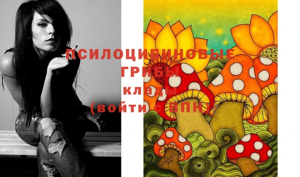 хмурый Болотное