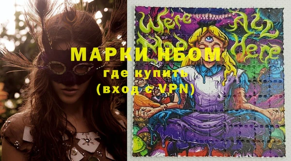 крисы Новокубанск