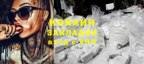 спиды Новодвинск
