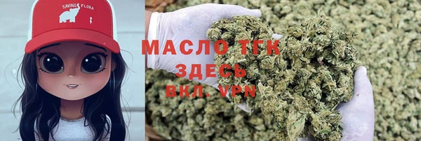 тгк Новозыбков