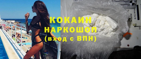 тгк Новозыбков
