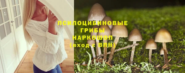 крисы Новокубанск