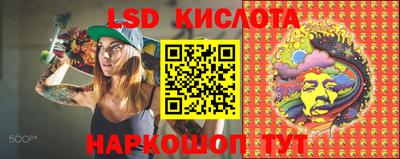 ECSTASY Кингисепп