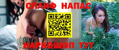 ECSTASY Кингисепп