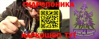 крисы Кимры