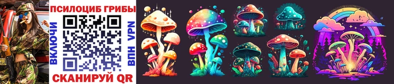 где продают   shop клад  Псилоцибиновые грибы Psilocybine cubensis  Кропоткин 