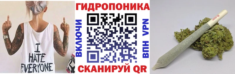 Шишки марихуана марихуана Кропоткин